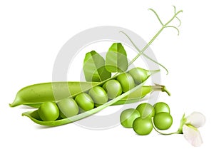 Green peas