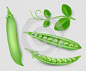 Green peas. Natural green healthy eco products green pea pods decent vector realistic templates isolated