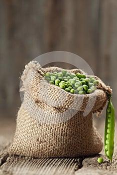Green peas in open pods, peeled fresh green peas in a burlap bag on a wooden background, copy space