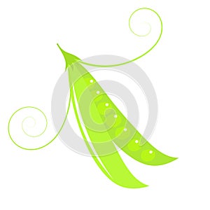 Green peas pod