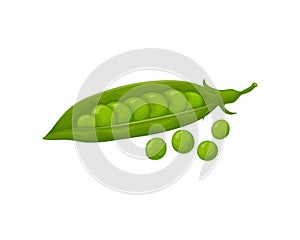 Green peas in a pod. String peas in cartoon style. Fresh green peas. A ripe vegetable garden. Vector illustration