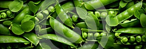 Green peas in pods background, banner, texture. Top view of fresh green peas