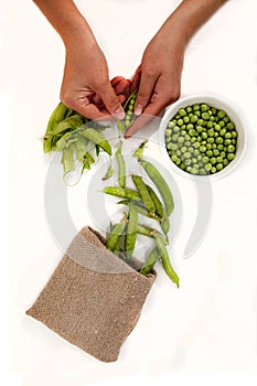 green peas, pods and peas in a canvas bag on an isolated white background, a woman hands