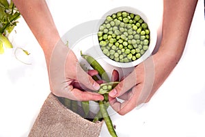 green peas, pods and peas in a canvas bag on an isolated white background, a woman peels hand