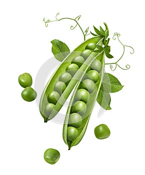 Green peas in pods with sprouts isolated on white background