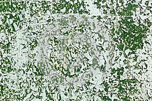 Green peeling paint