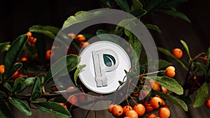 Green peercoin coin