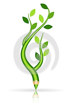 Green pencil - tree branch