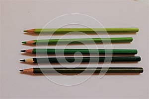 Green pencils side by side