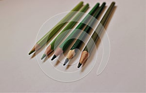 Green pencils side by side
