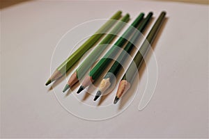 GREEN PENCILS SIDE BY SIDE