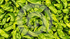 Green peper chili. background food