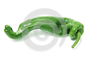 Green pepper