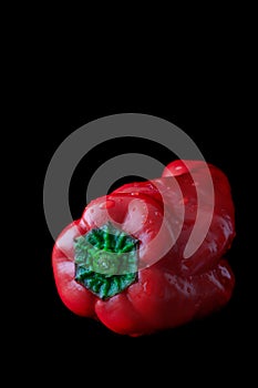 Green pepper on black background