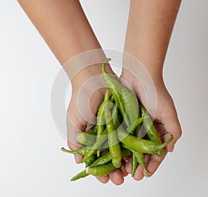 Green pepper in child`s hands