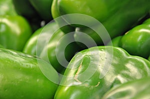 Green pepper cluster