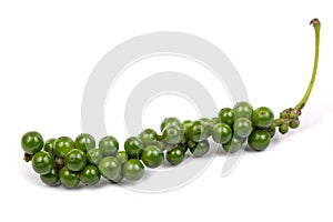 Green Peppercorn