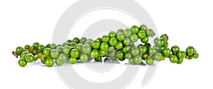 Green peppercorn isolated on the white background