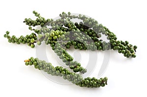 Green peppercorns on the drupe