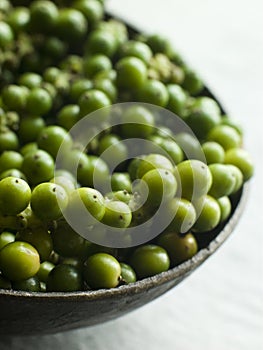 Green Peppercorns on the vine photo