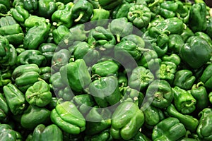 Green peppers photo