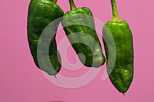 Green peppers on pink background photo