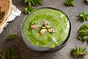 Green pesto sauce made of goutweed or ground elder leaves in spring