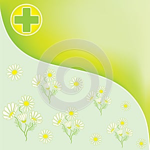 Green pharmacy background with officinal camomile photo