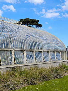 Green phyto lamps for plant growth in winter in greenhouse, tropical plants under grow light inside of glasshouse in botanical