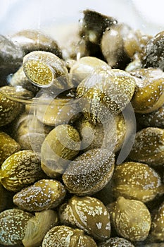 Green pickled capers in brine in glass jar