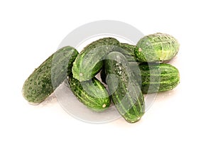 Green pickling cucumbers