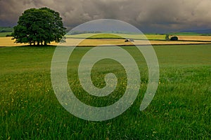 Green, picture-postcard, grassy farmland under an overcast sky in nortern England