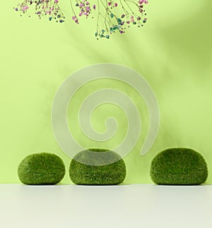 Green pieces of moss and a stage for the demonstration of products, cosmetics. Place for an inscription