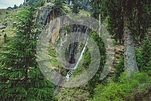 Green pine on background big Jogini waterfall in Vashisht