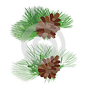 Green pine cones with branches.