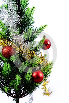 Green pine tree on christmas decoration on white background,Christmas
