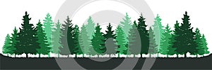 Green Pine Tree Forest Environment