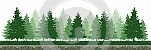 Pine Tree Forest Environment  photo