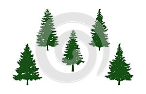 Green Pine Tree Silhouette Clip art