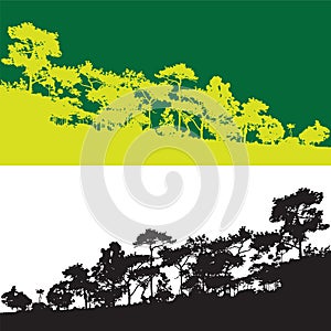 Green pine tree vector banner, wild jungle mountain outline