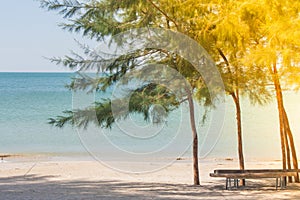 Green pine trees on sand beach with beautiful seascape view and blue sky in the background at Chao Lao Beachà¹ƒ