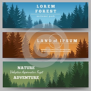 Green pines forest banners