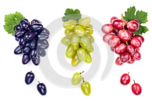 Green pink and blue grapes with leaves isolated on the white background