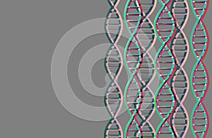 green-pink DNA molecules structure on gray background with copy space. Science and Technology concept