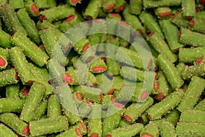 Green and pink watermelon ramble candy background