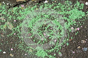 Zelený ružový a biely maľovať kvapky na asfalt krajiny. sprej škvrna na šedá krajiny. zázemie. detailné. kopírovať spása 