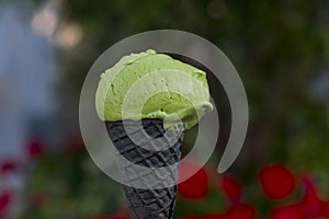 Green pistachio ice cream in a black waffle Cup.