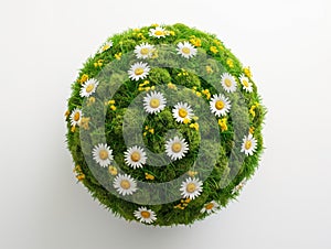 Green Planet Concept with Flowers