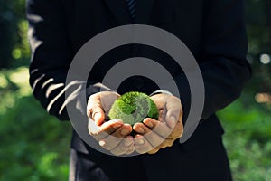 Green Planet in Your Hands. Save Earth. Environment Concept