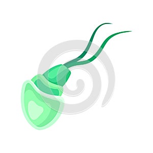 Green plankton with a translucent body. Vector illustration on white background.